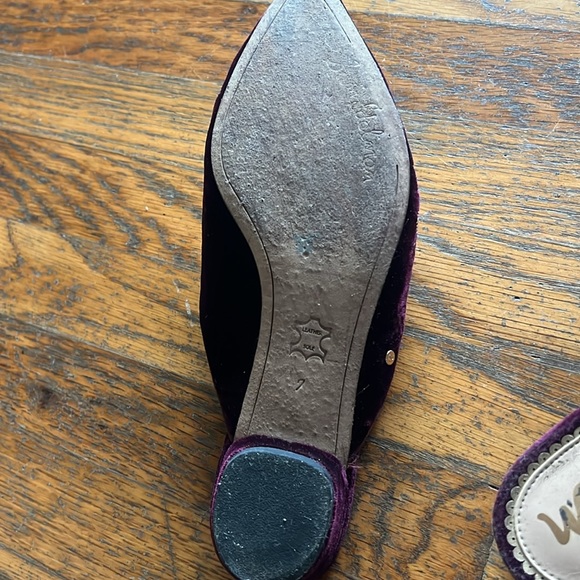 Sam Edelman Evan Mule - Picture 4 of 4